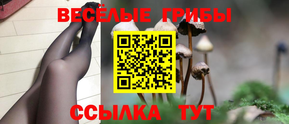 Сколько стоит  Кокаин  ГАШИШ  Марихуана  NBOMe  АМФЕТАМИН кристаллы  Кудымкар  Вход с VPN  Мефедрон кристаллы  Лсд 25 